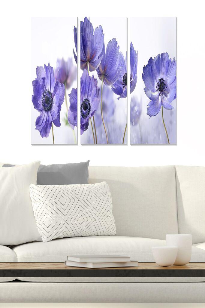 Wallity Сет Слики MDF644686126, 3 Дела