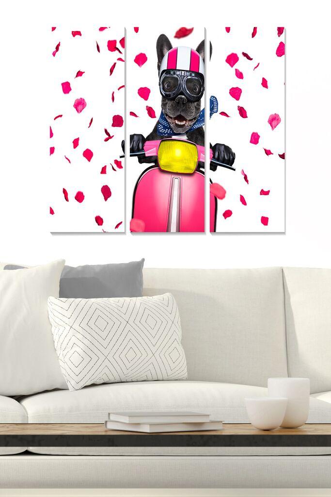 Wallity Сет Слики MDF728239003, 3 Дела