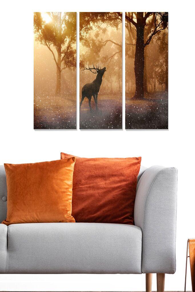 Wallity Сет Слики MDF643340, 3 Дела