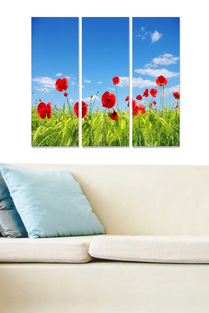 Wallity Сет Слики MDF96171398, 3 Дела