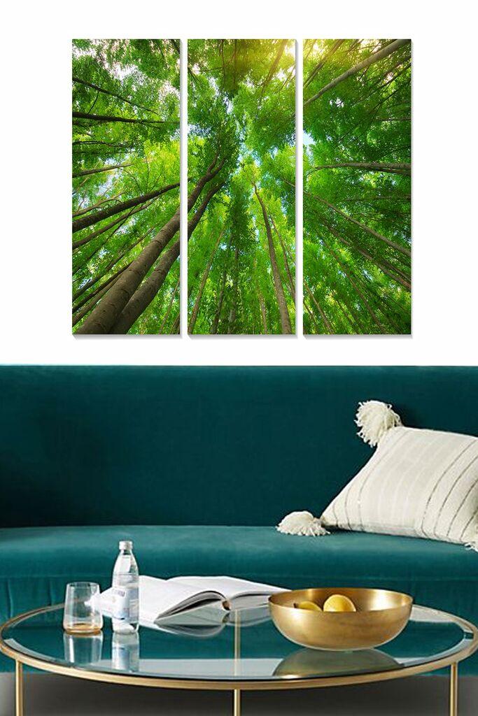 Wallity Сет Слики MDF7436501494476, 3 Дела