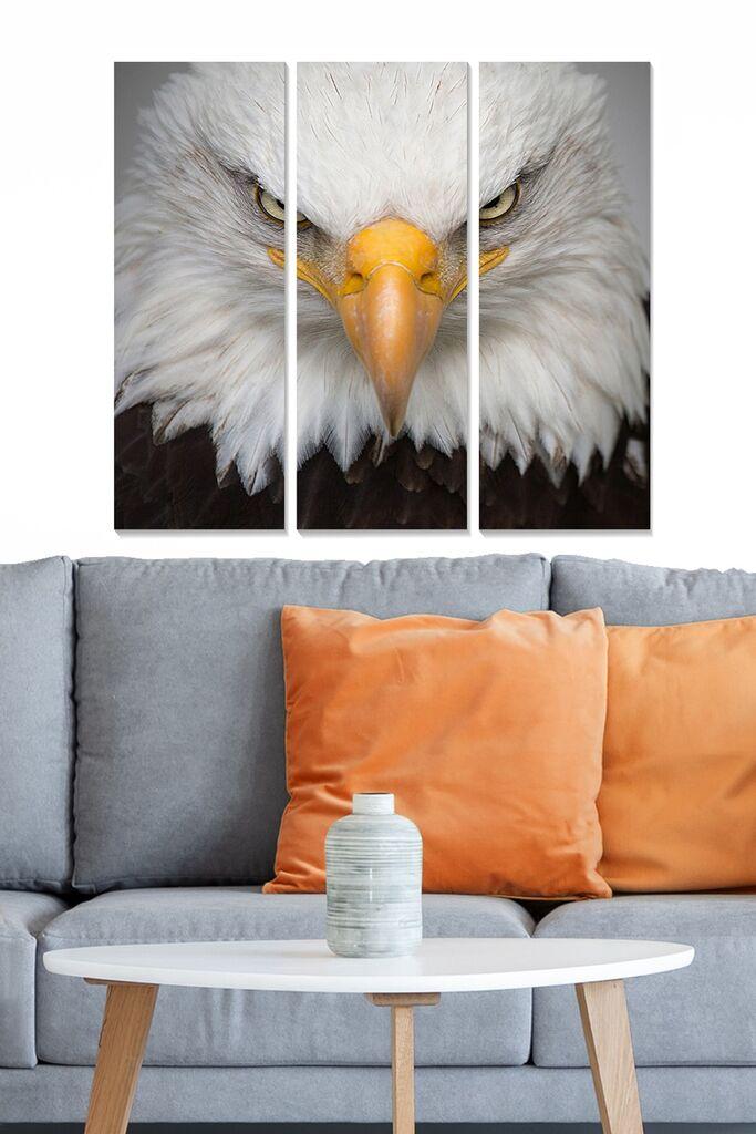 Wallity Сет Слики MDF72701932, 3 Дела