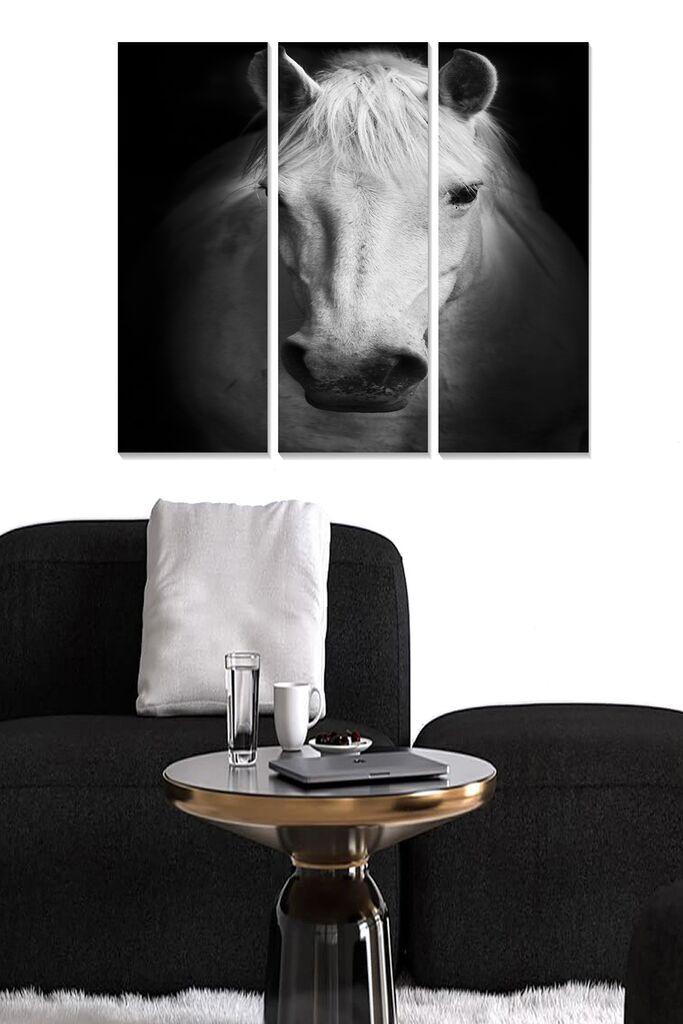 Wallity Сет Слики MDF6290461, 3 Дела