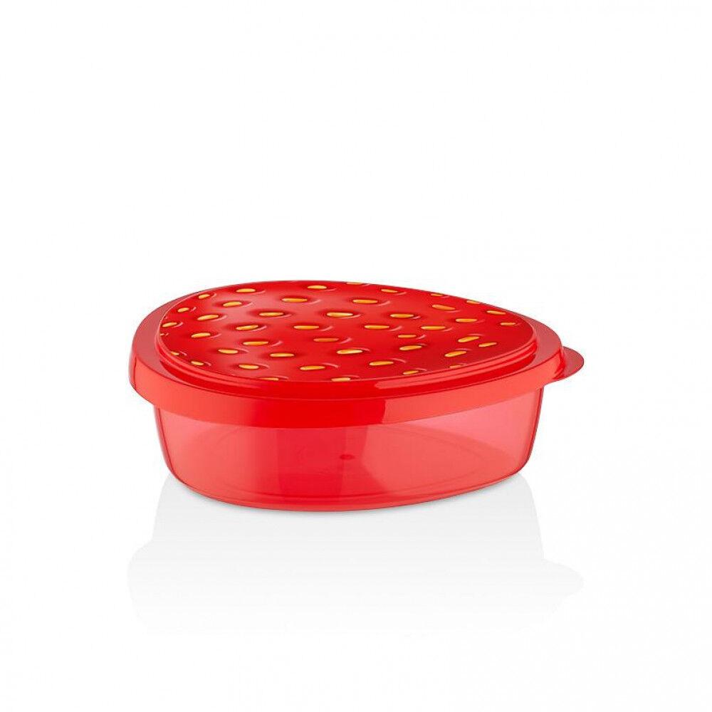 Qlux Кутија За Храна Л-00867