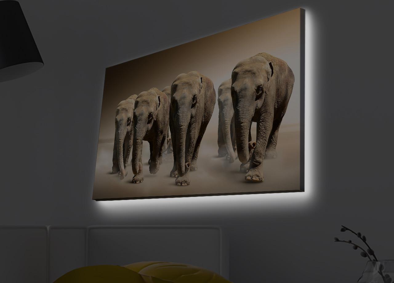 Слика „Волити" на платно со LED осветлување 45x70 см