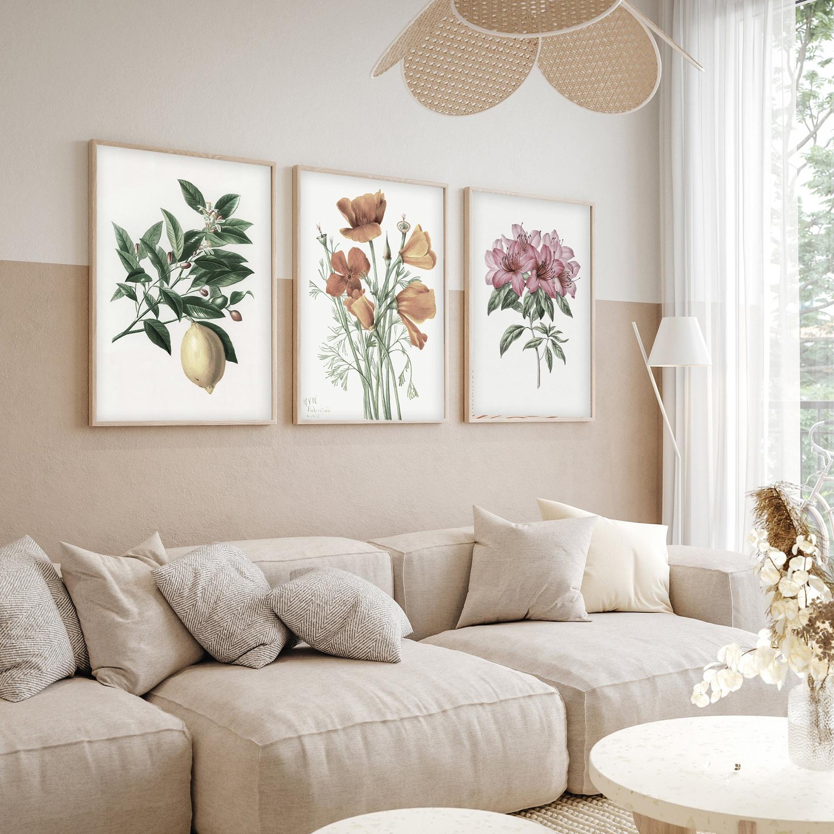 Слика од Волити од 3 дела