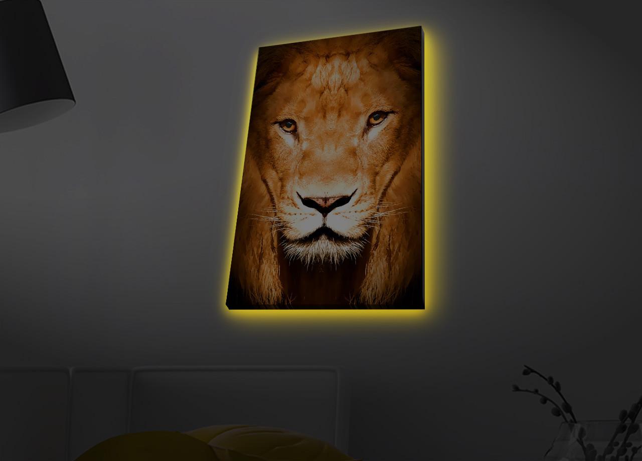 Слика „Волити" на платно со LED осветлување 45x70 см