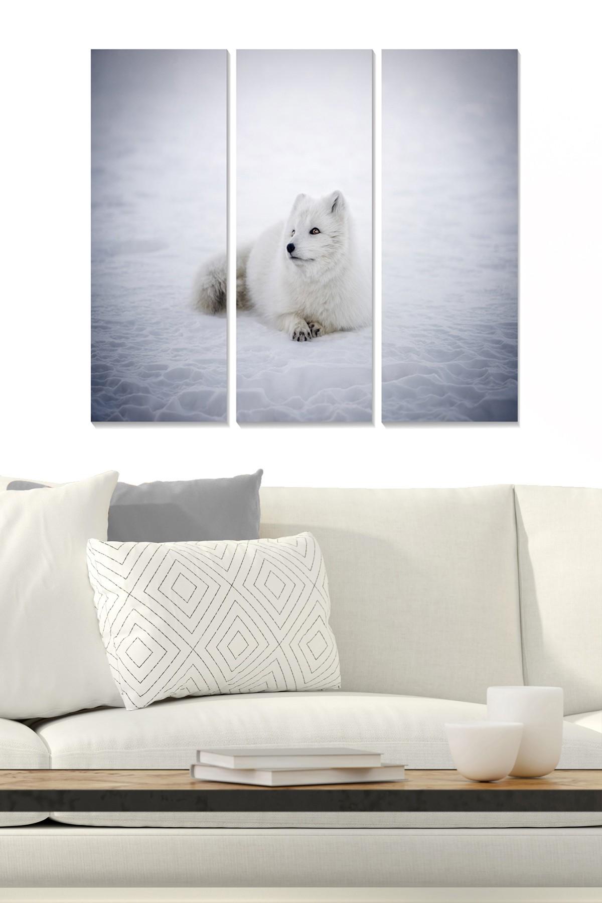 Слика од Волити од 3 дела