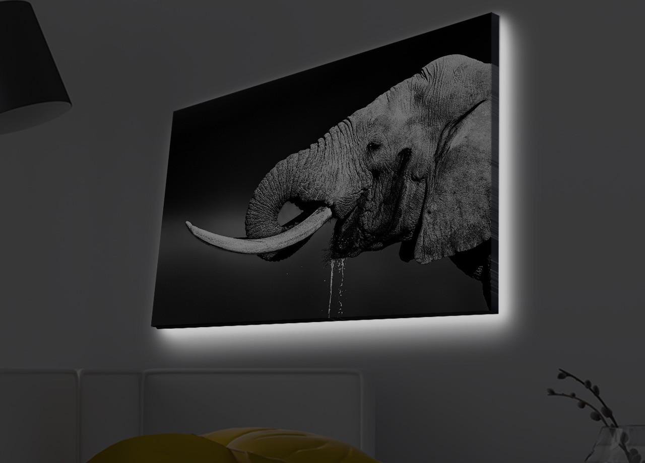 Слика „Волити" на платно со LED осветлување 45x70 см