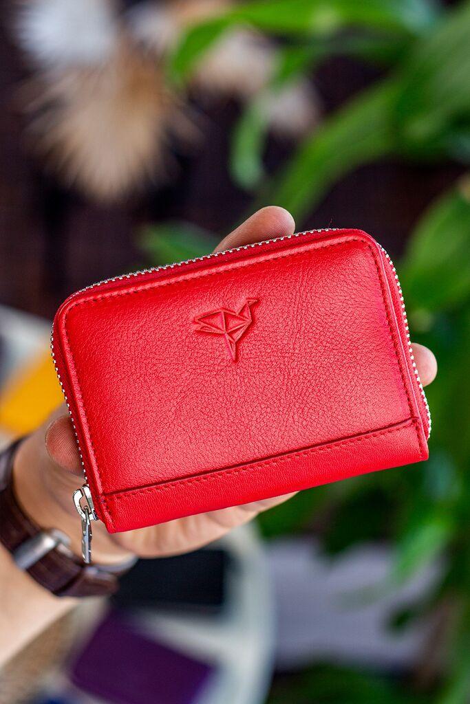 Паричник Гарбалија Сиднеј, црвен