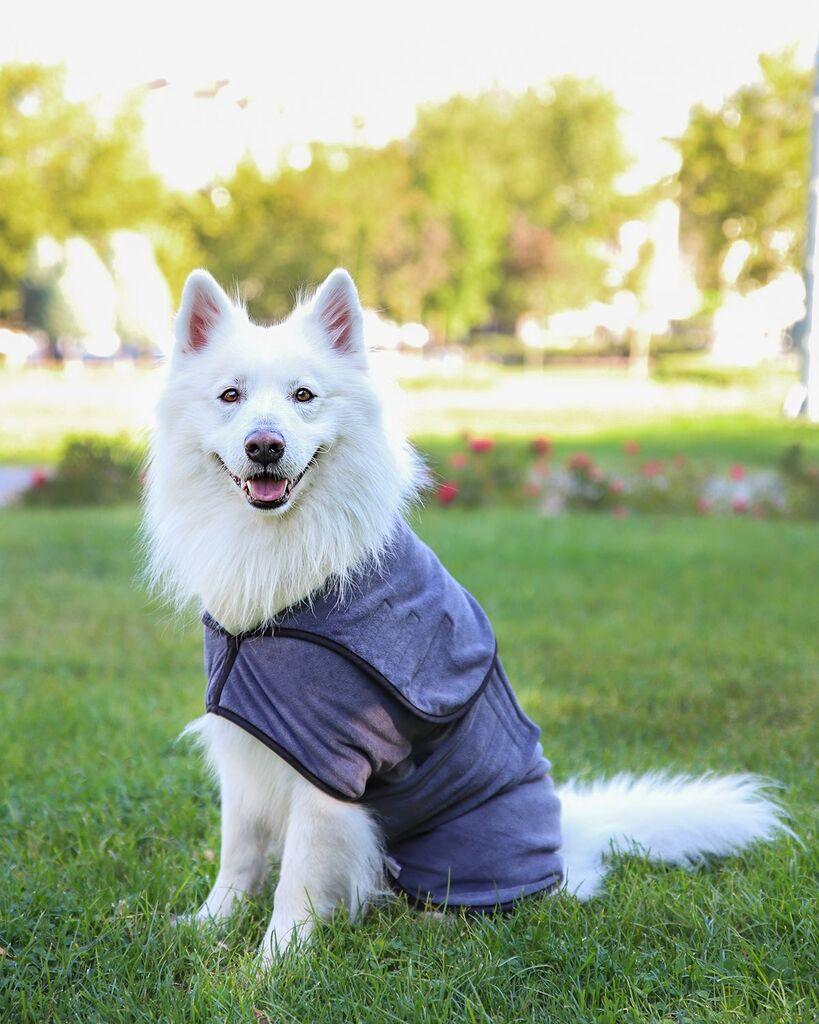 Палто за кучиња „Шепи и мустаќи", сиво