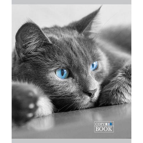 PZBM Тетратка, А5, Лакирана, 48 л., Каро, 027839