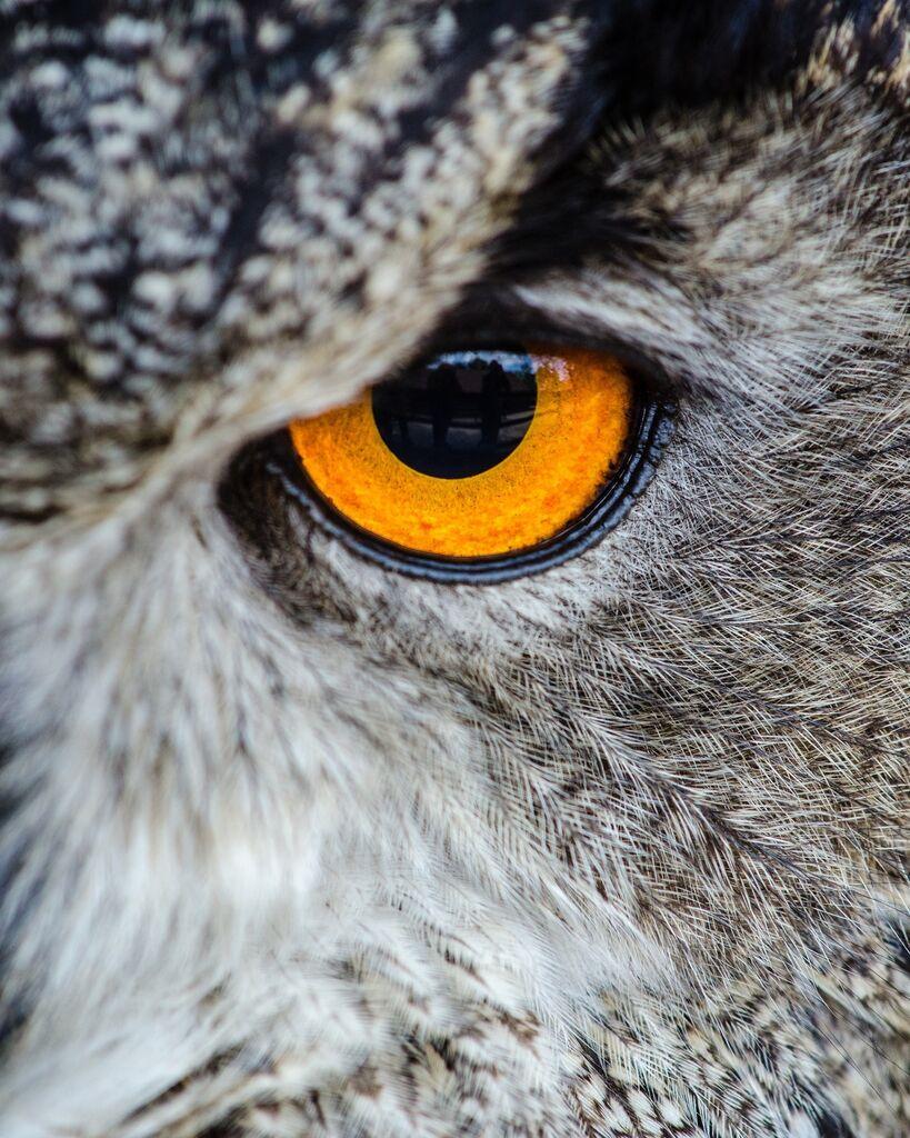 Мебел-Ви Слика Канвас 140*100