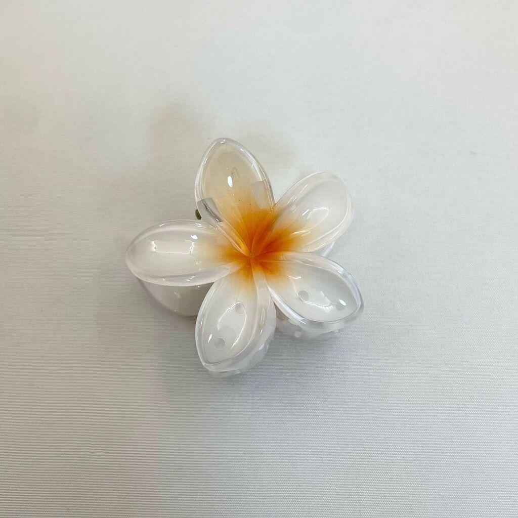 Tik Tok Шнола Цвеќе