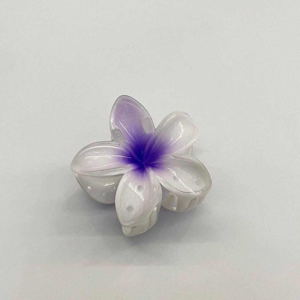 Tik Tok Шнола Цвеќе