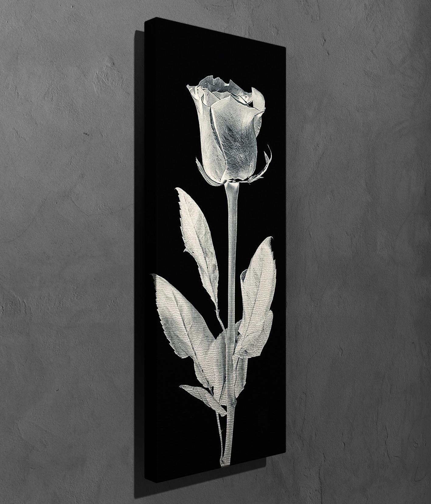 Слика „Волити" на платно 30x80 см