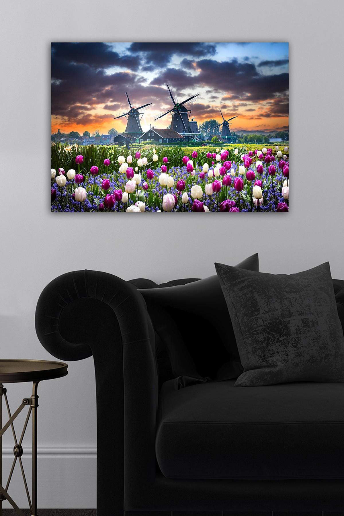 Слика „Волити" на платно 50x70 см