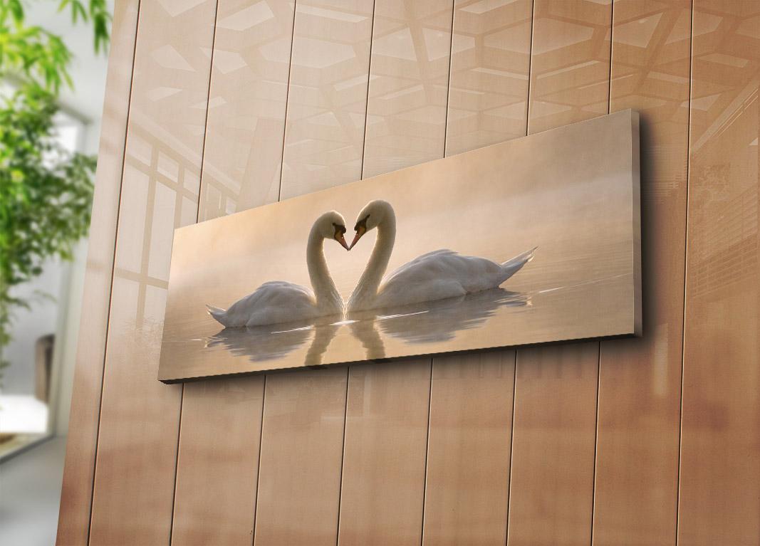 Слика „Волити" на платно 30x90 см