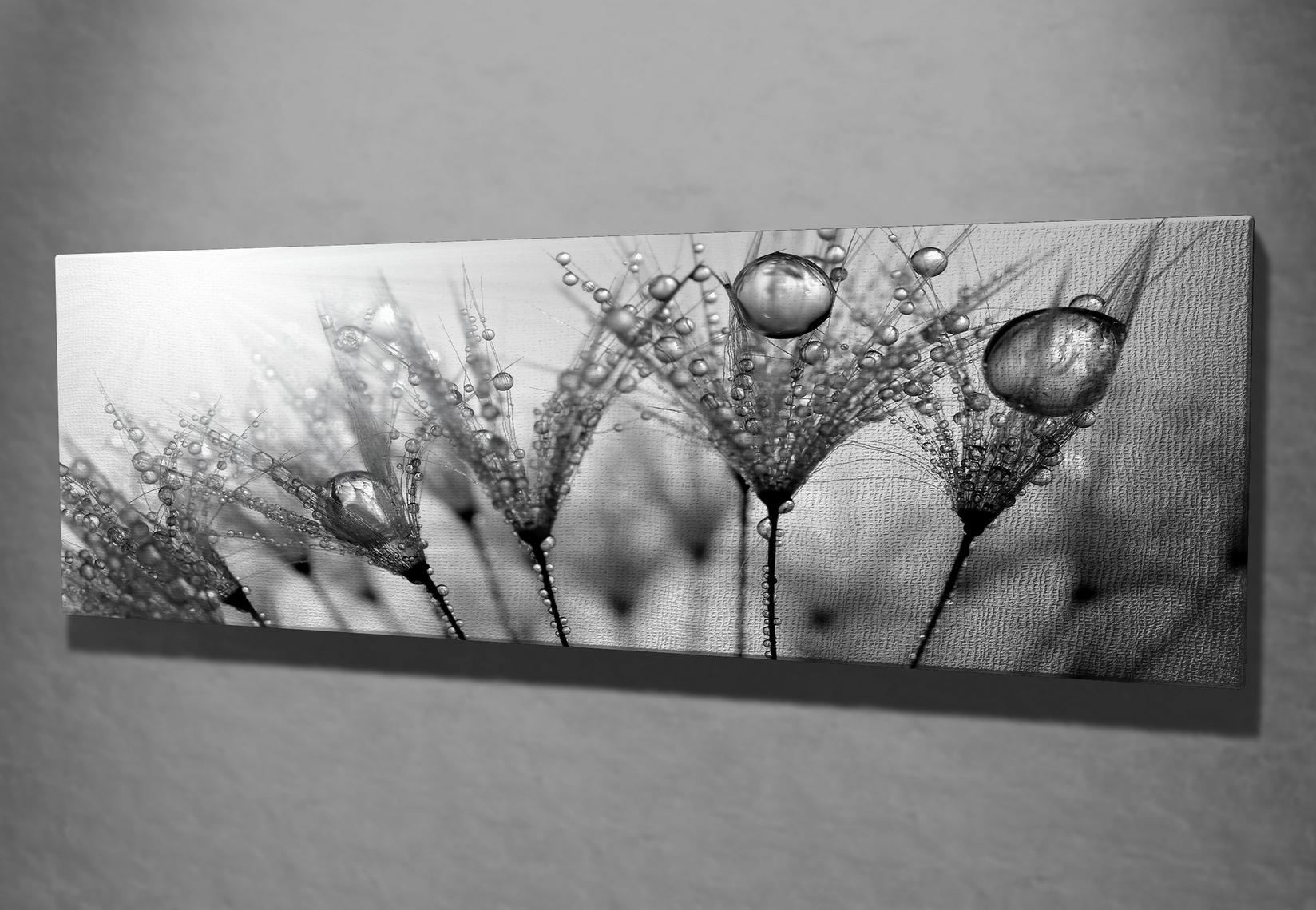 Слика „Волити" на платно 30x80 см