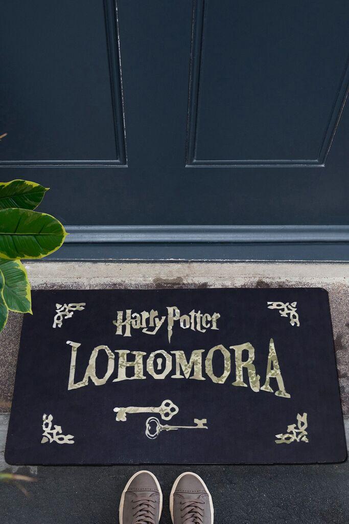 Conceptum Hypnose Rug Lohomora, 40x60 cm, Шарена