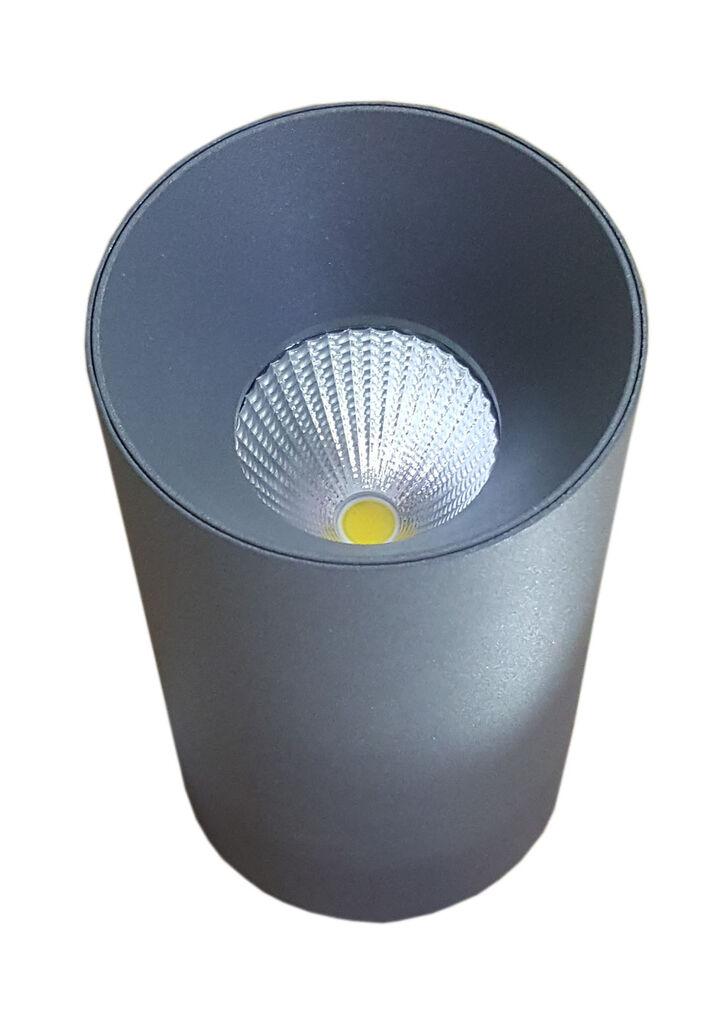 OnLight Сива LED лампа 10W 4000K OL19521/10W/SV