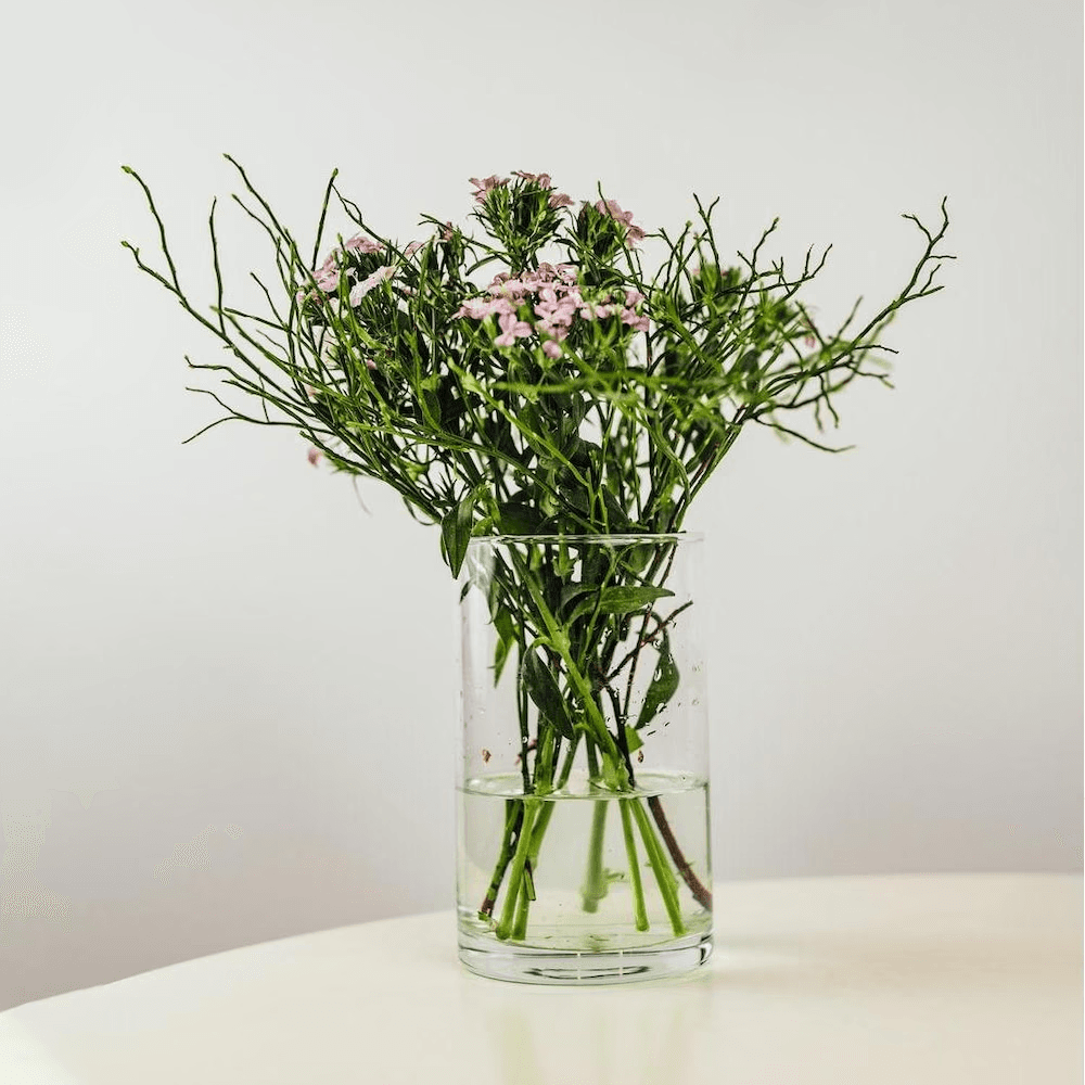 Вазна Стакло 1220Зт