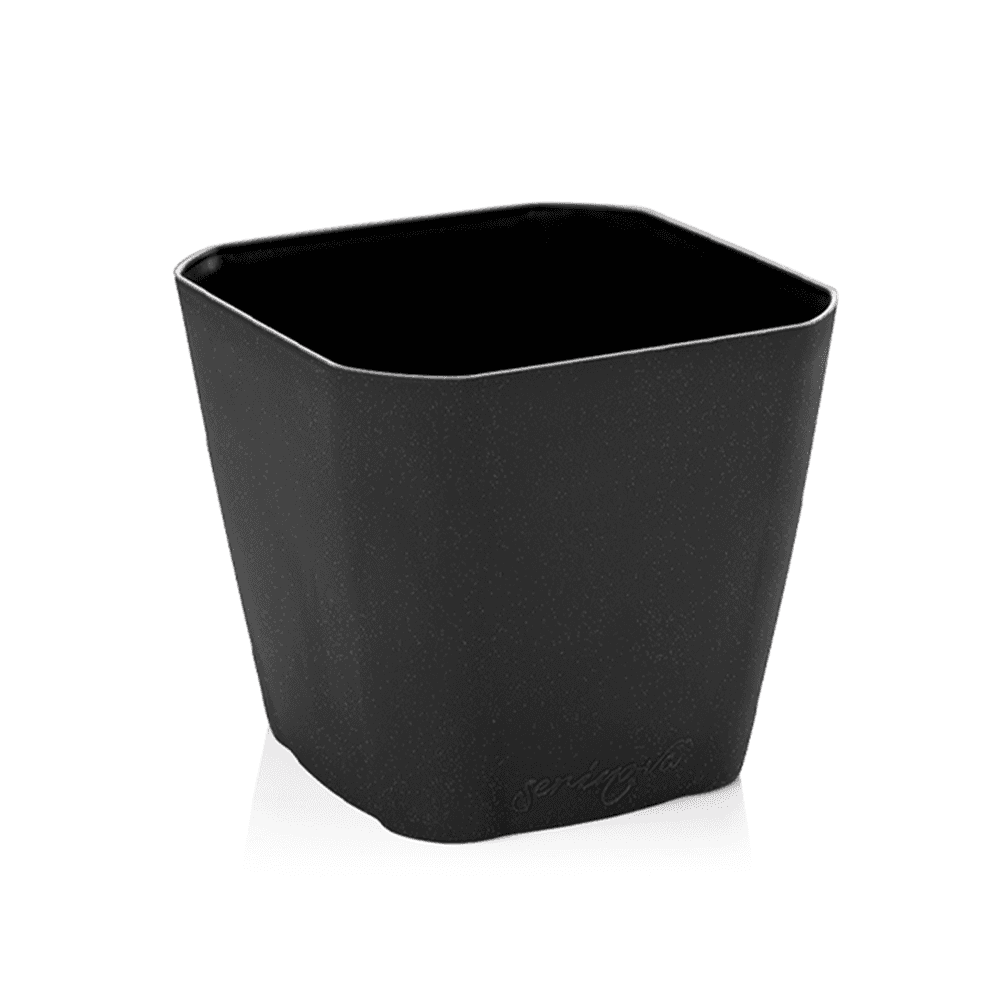 Serinova САКСИЈА СФС5 235Х220