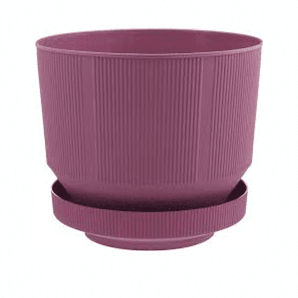 Serinova САКСИЈА С284