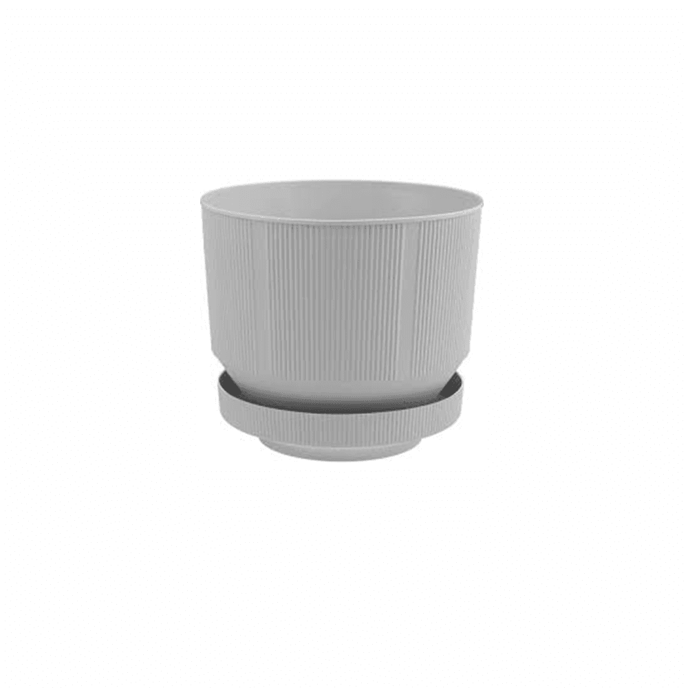 Serinova САКСИЈА С281