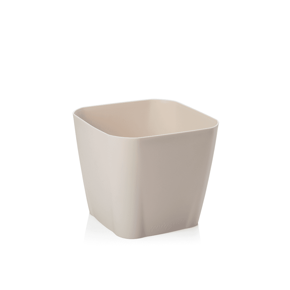 Serinova САКСИЈА СФС2