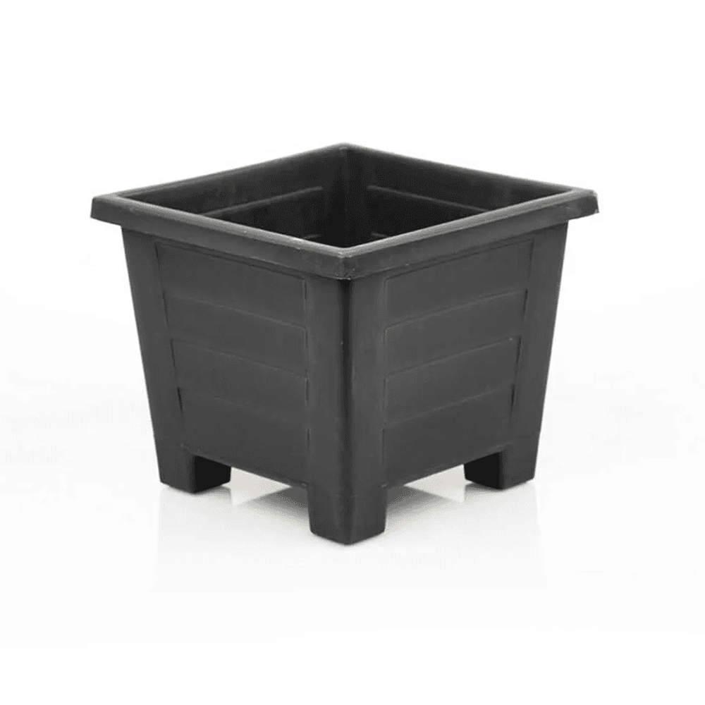 Serinova САКСИЈА С425