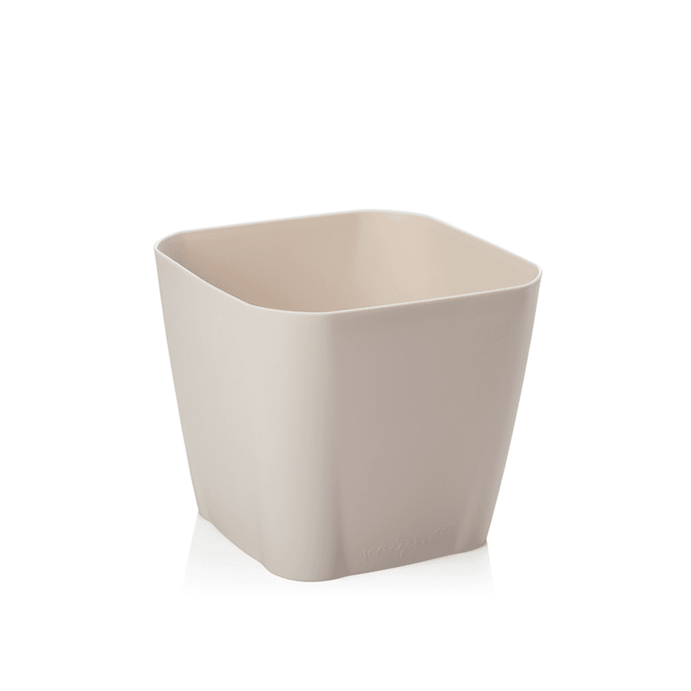 Serinova САКСИЈА СФС3 175X155