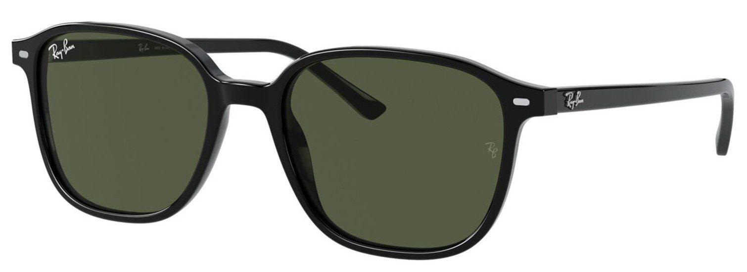 Сончеви очила Ray-Ban 0RB2193 901/31 53 Leonard, црни