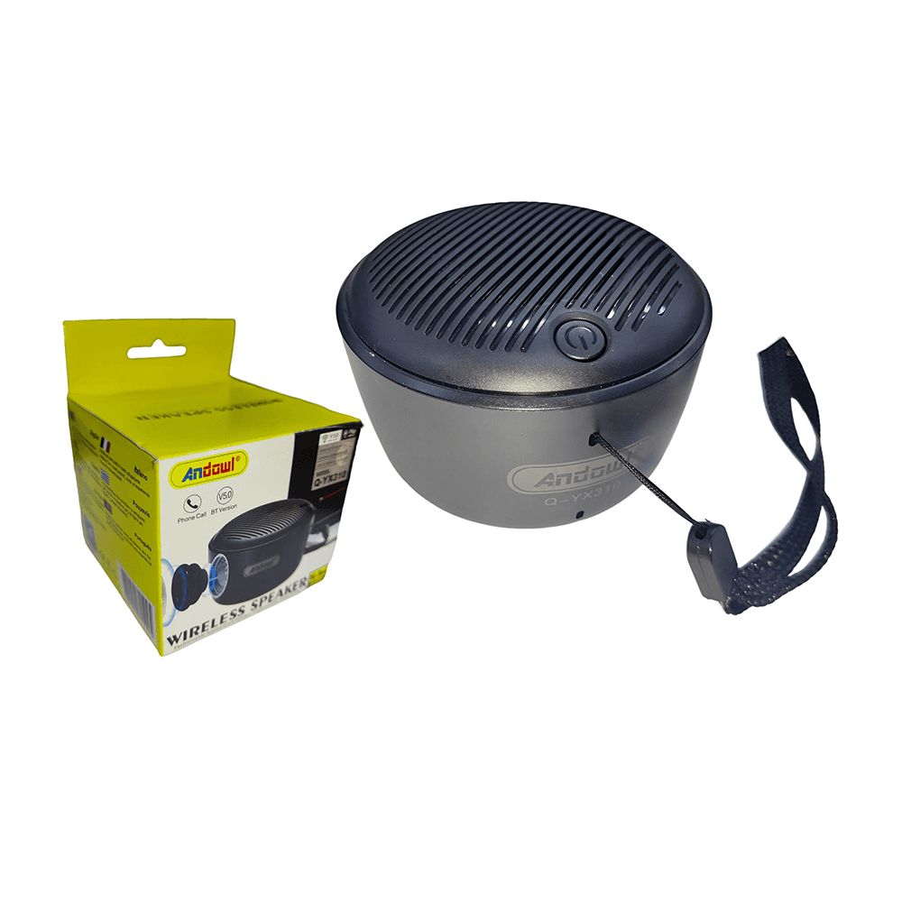 Безжичен Звучник Љ-Ѕџ310