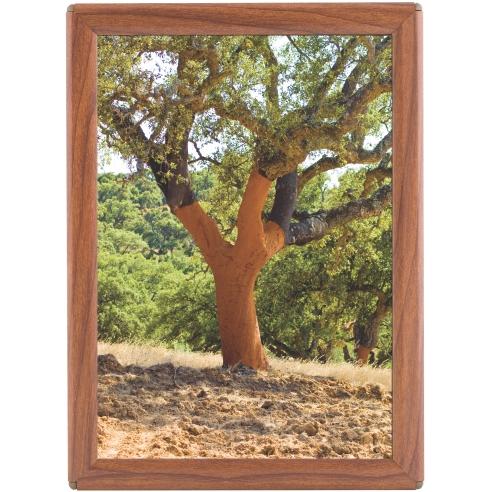 2X3 Рамка Дрвена, А5, 148*210, закосени рабови, , TZD14/A5