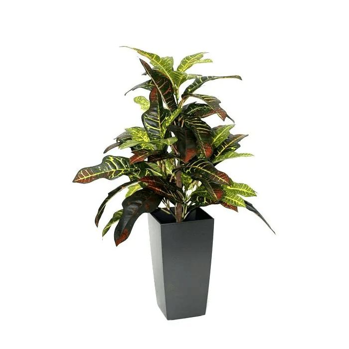 Вештачко цвеќе,Croton Windowplant,,150205