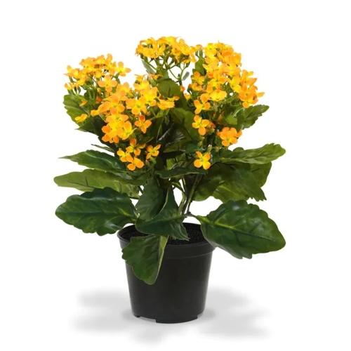 DESIGN PLANT'S Вештачко Цвеќе, 30 цм, Во саксија, , Каланхое Orange,407303PP10OR