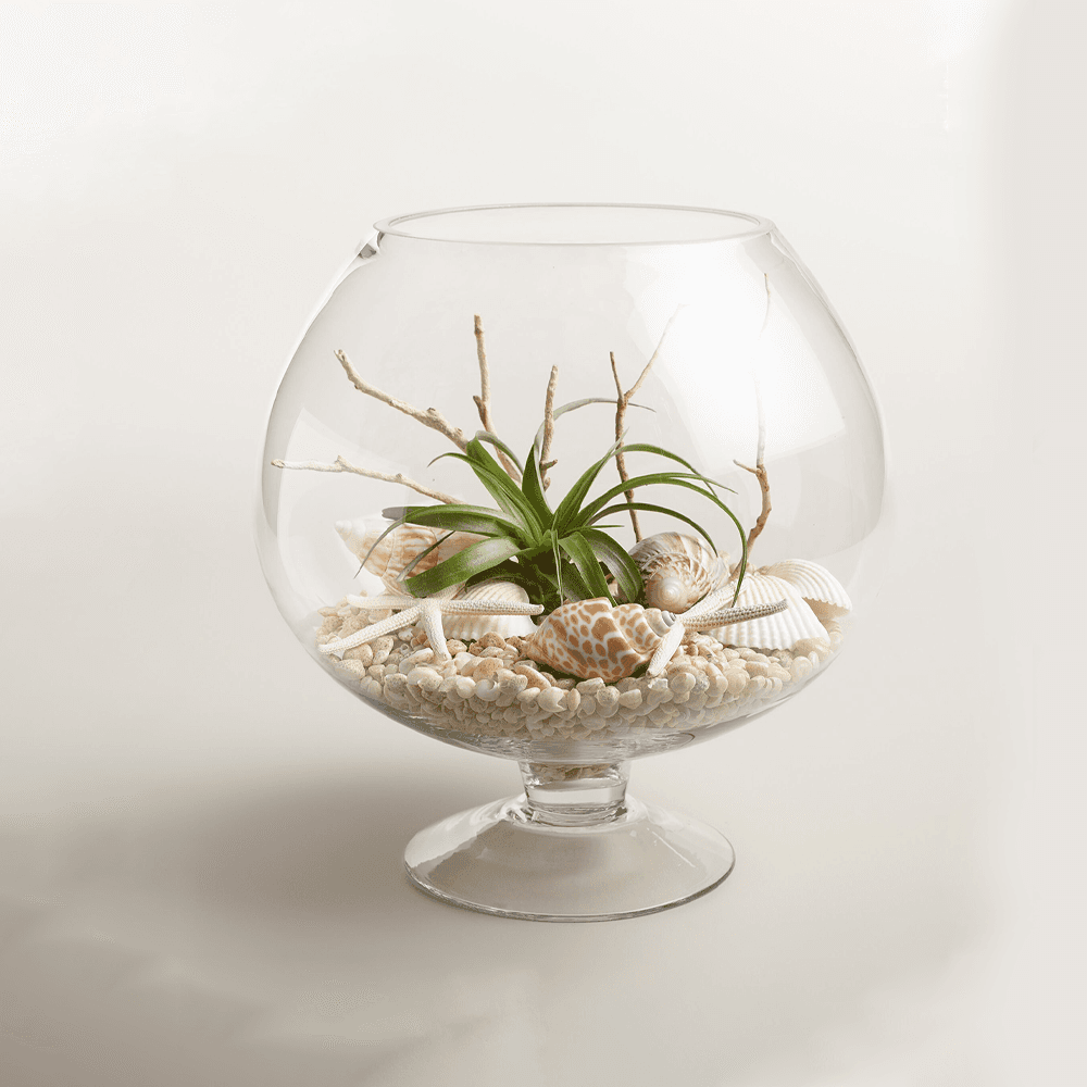 Вазна Стакло 150Пк