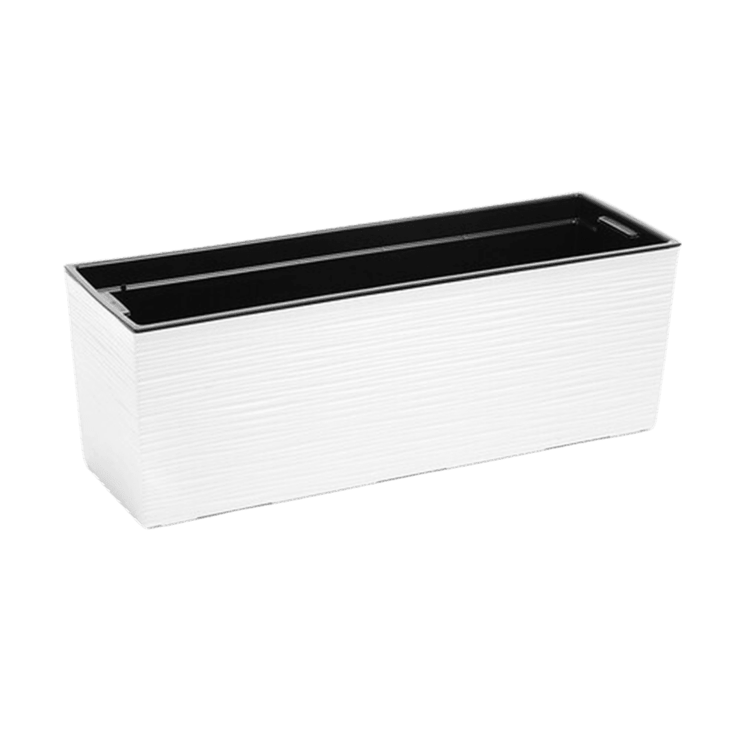 Lamela Саксија Begonia Dluto