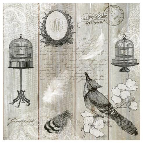 POL-MAK Салфети, 33*33цм, 1/20, Птици и кафези, Daisy, SDOG 0167 01