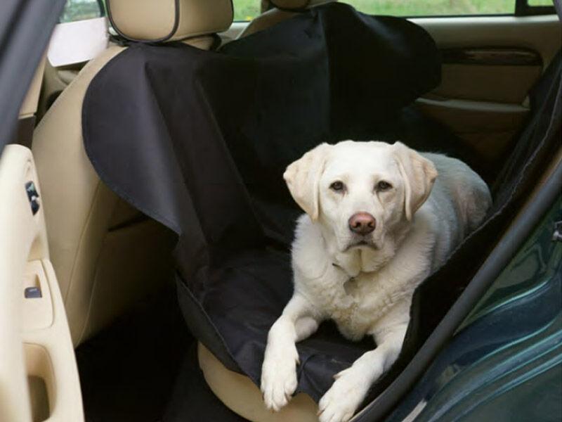 PETEX Универзална заштитна церада за задните седишта на автомобилот, 148х140см