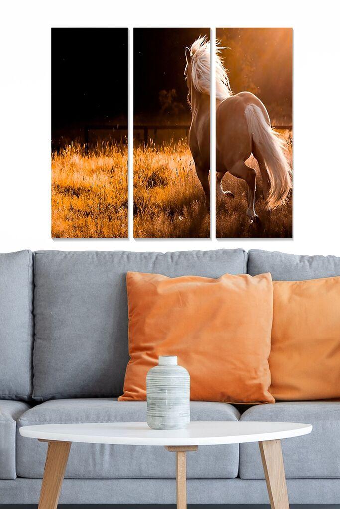 Wallity слика MDFFTR1017, 70x50 см, 3 дела