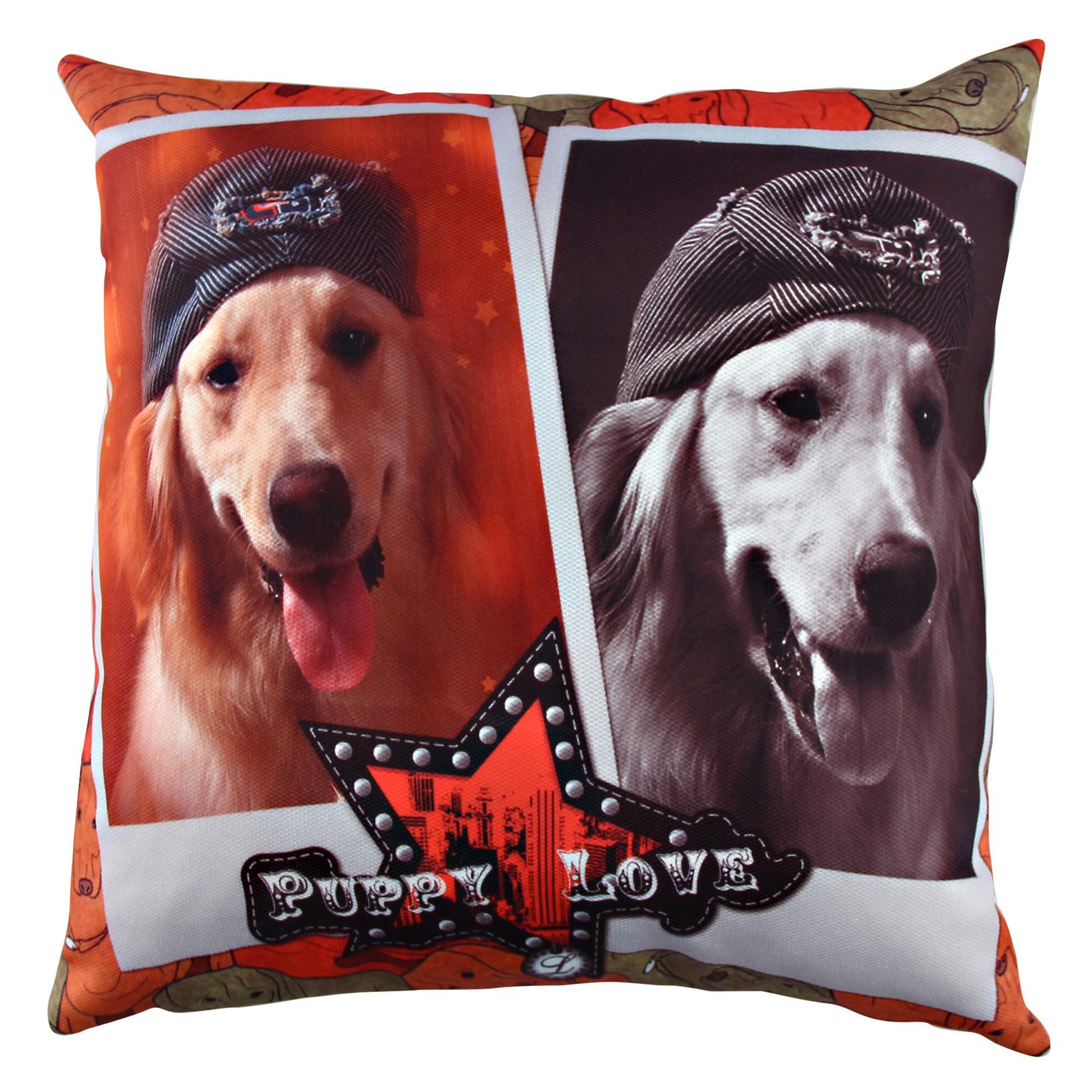 Перница Аберто Дизајн 43x43см во боја