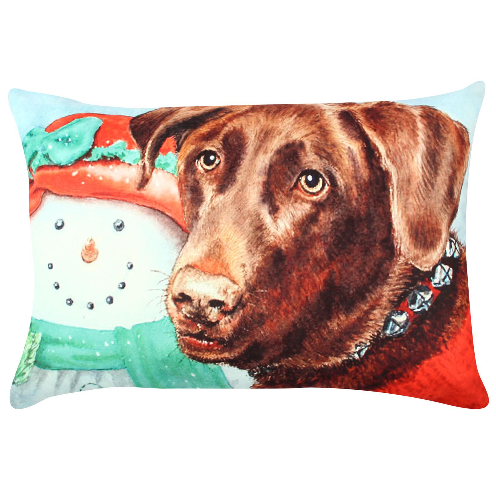 Aberto Design Перница 33x48cm Шарена