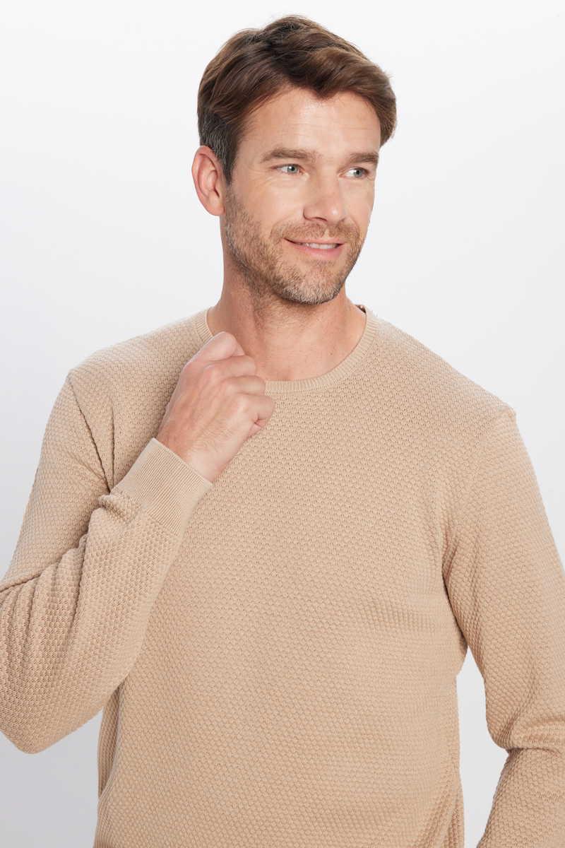 TUDORS Машки џемпер со тенок фит кафеав