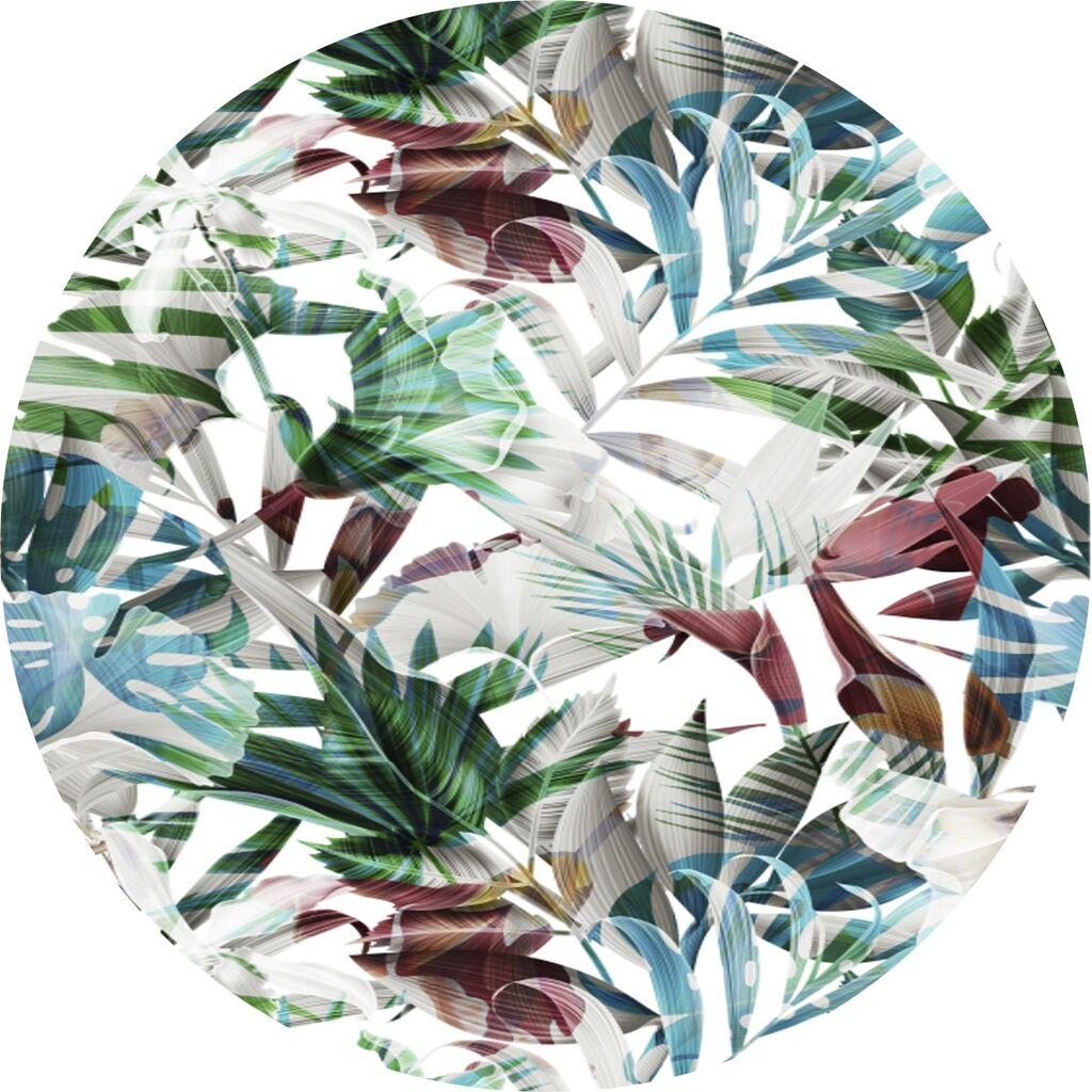 Conceptum Hypnose тепих CT-2145 Y, 80 cm, Шарена