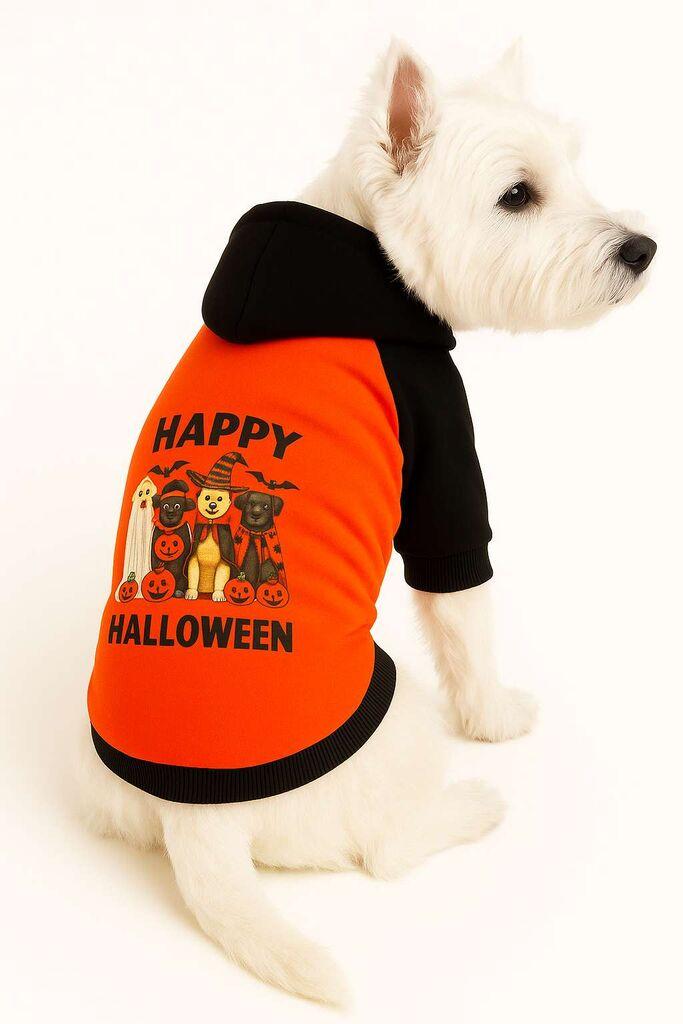 Костум за кучиња „Шепи и мустаќи" Orangehappyhall, портокалов