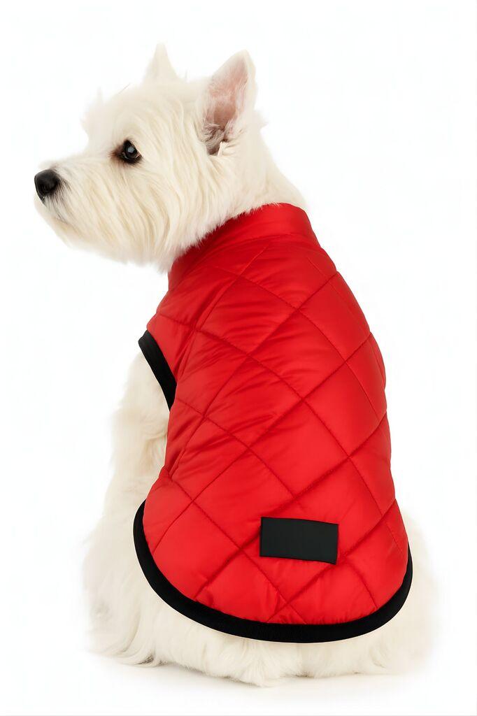 Костим за кучиња „Шепи и мустаќи", црвен