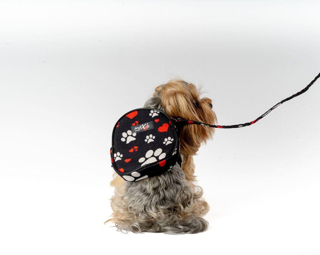 Ранец за кучиња Paws & Whiskers и поводник, црн