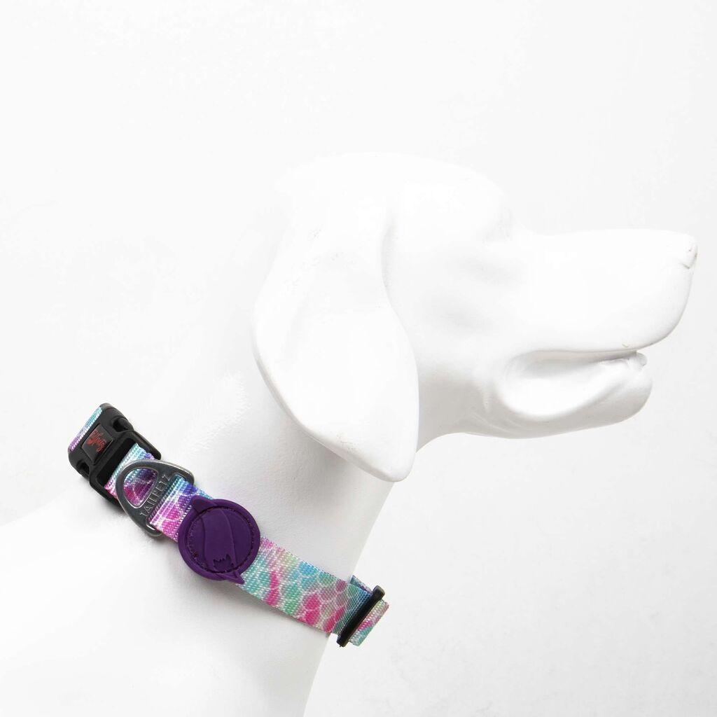 Јака за кучиња „Шепи и мустаќи", шарена